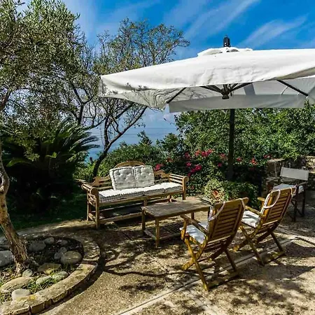 Casina Turritella فيلة *