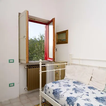 Casina Turritella فيلة *