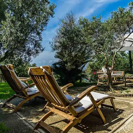 فيلة Casina Turritella *