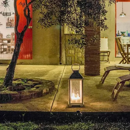 فيلة Casina Turritella *