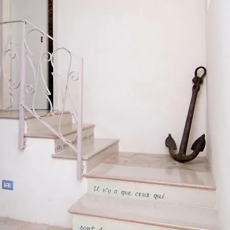 فيلة Casina Turritella *