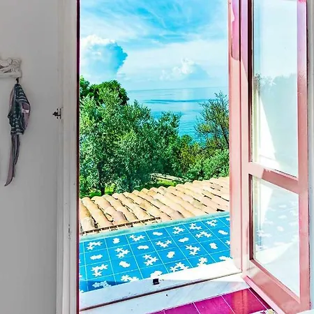 فيلة Casina Turritella *