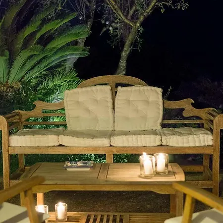 Casina Turritella *