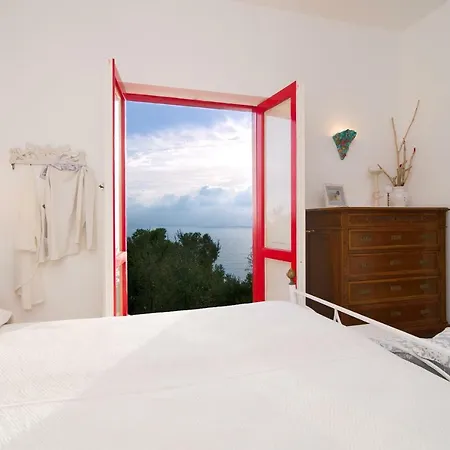 Casina Turritella فيلة *