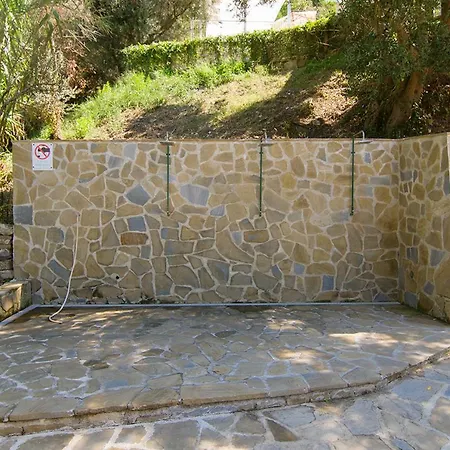 Casina Turritella *